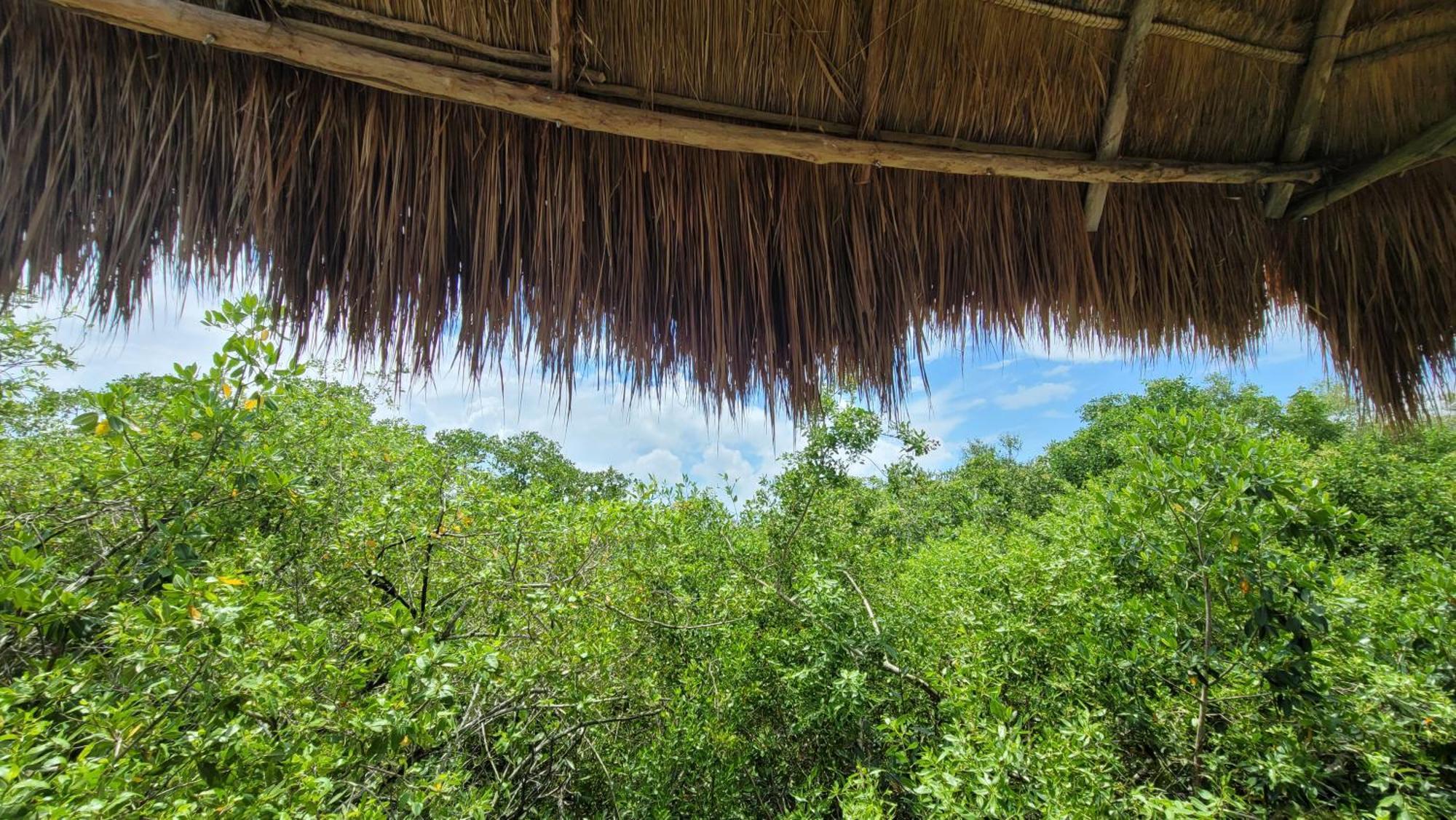 Hotel Cormoran Tulum & Cenote Eksteriør bilde